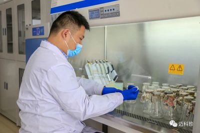 探析山東邁科珍生物科技 技術創新與產業發展的融合之路